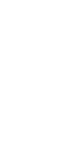 UNDP Logotyp Vit